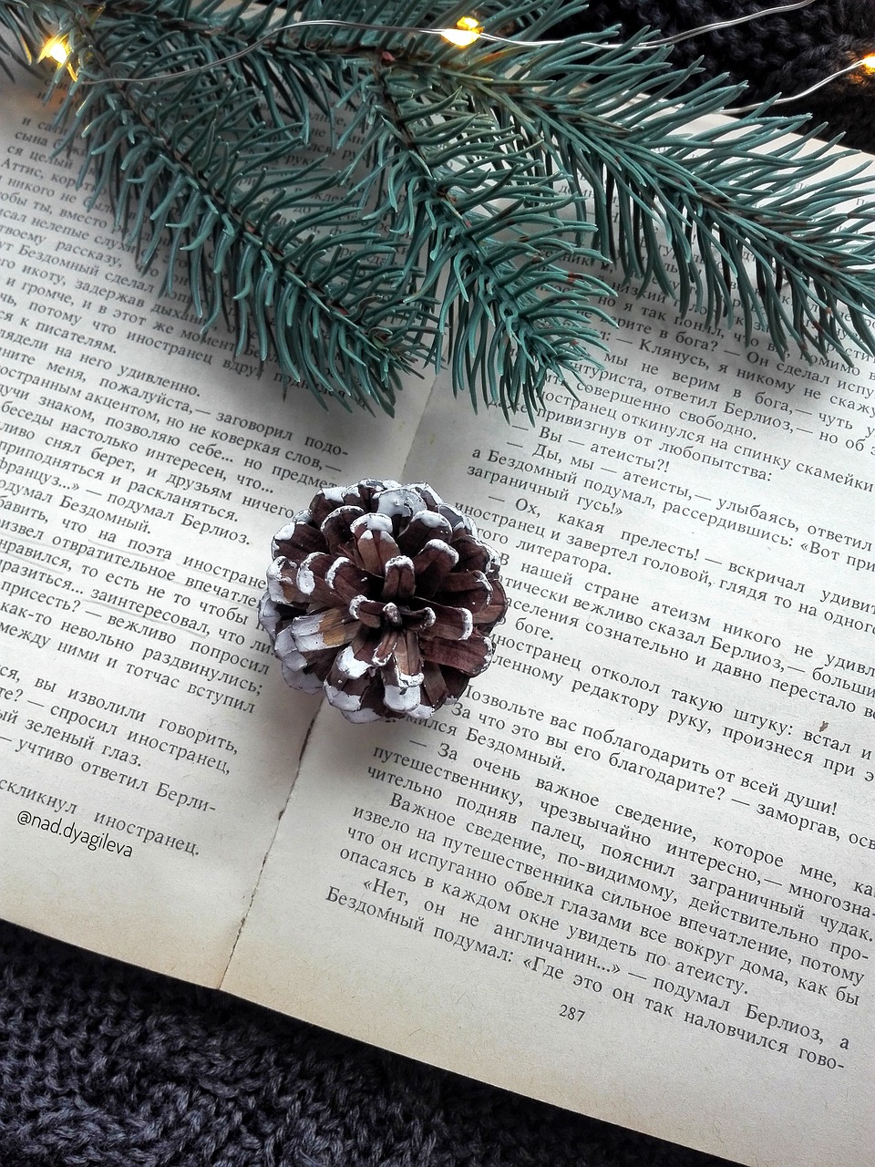 Open book with a pinecone and evergreen branch