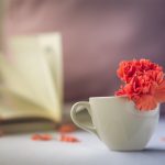 Tea cup with a pink carnation and open book