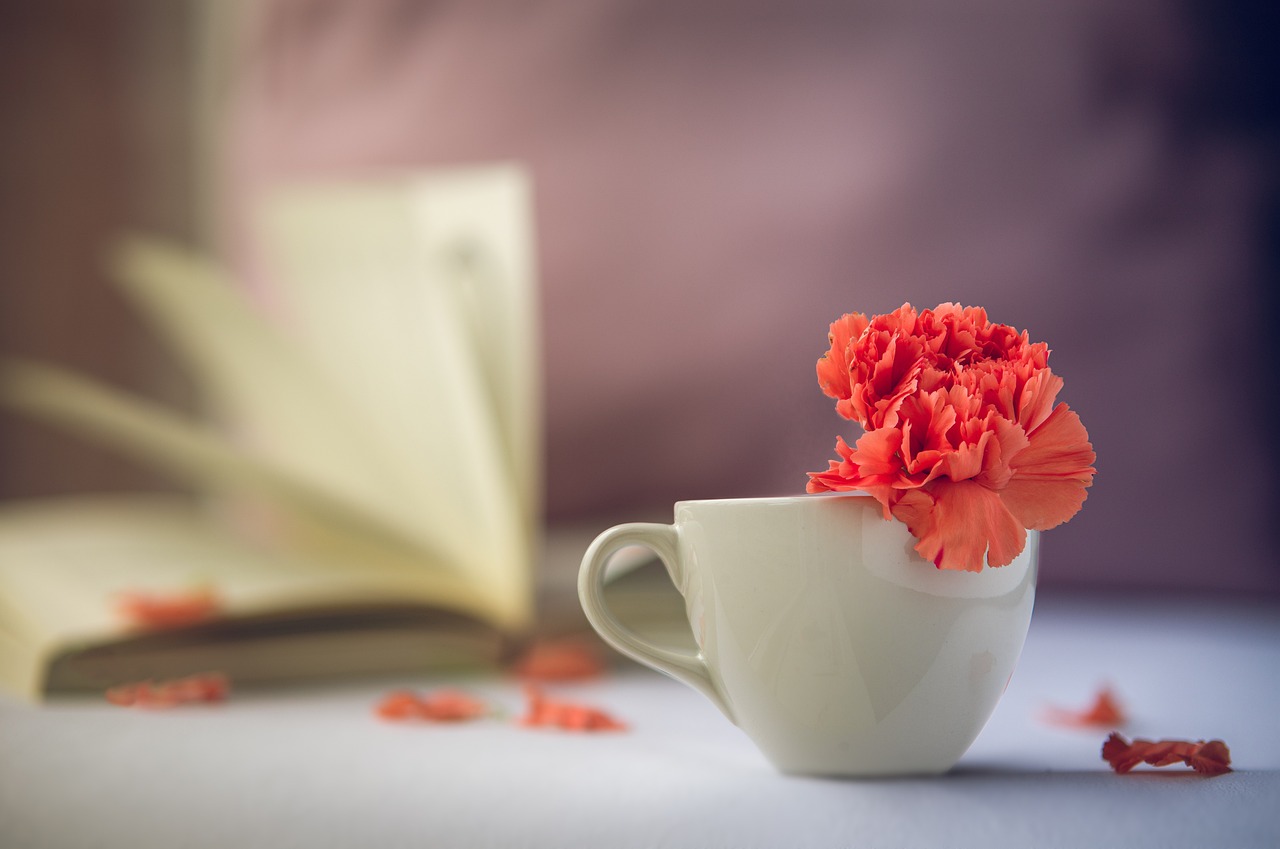 Tea cup with a pink carnation and open book