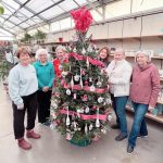 Club members decorate the ADBC tree for the 10th annual Lights of Kindness event